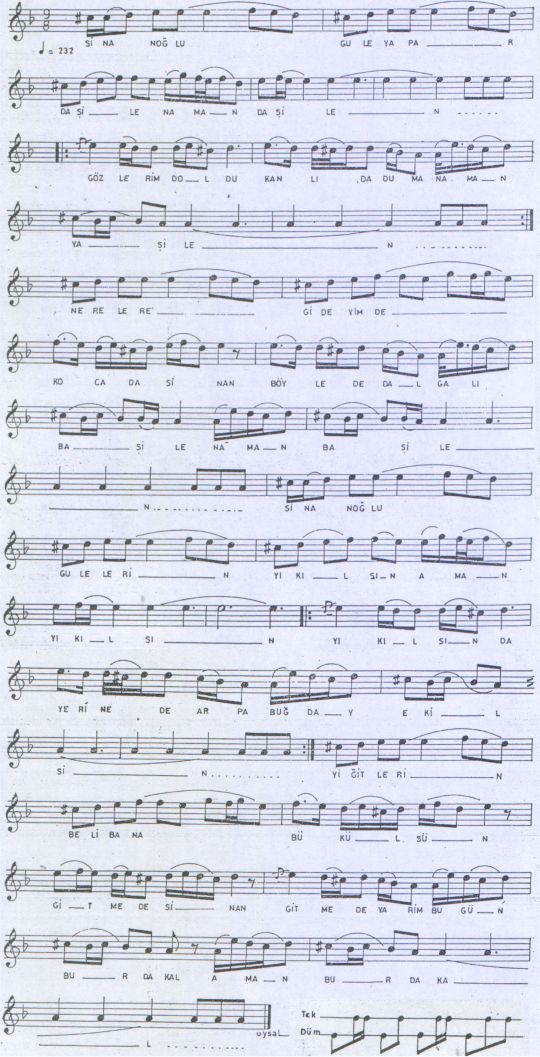 Sinanoğlu Türküsünün (5.Varyant) Notası